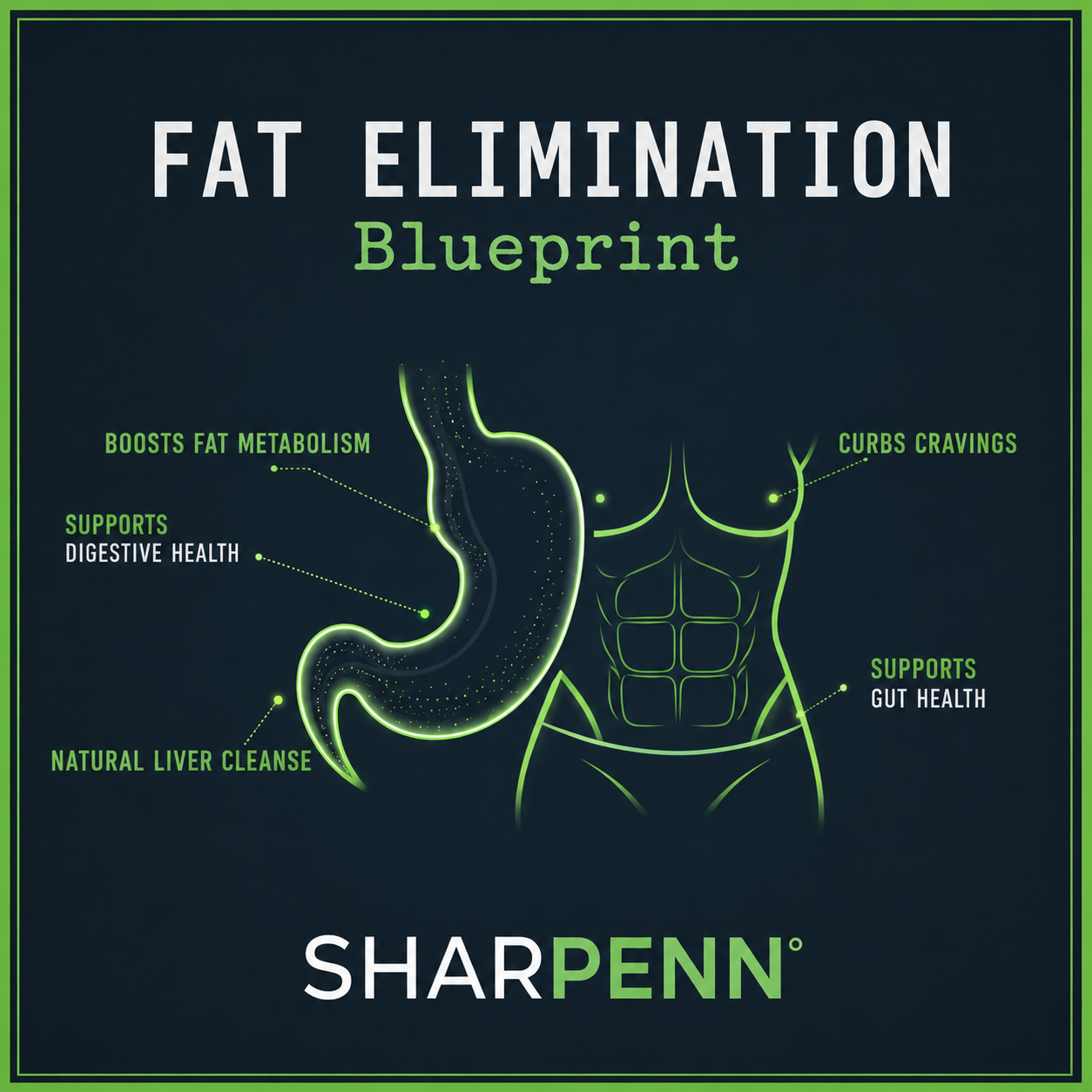 Fat Elimination Blueprint