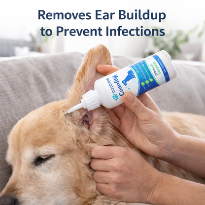VetMotion ClearEar