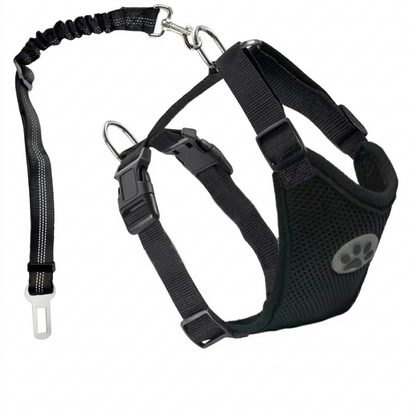 SafeTails Car CrashGuard