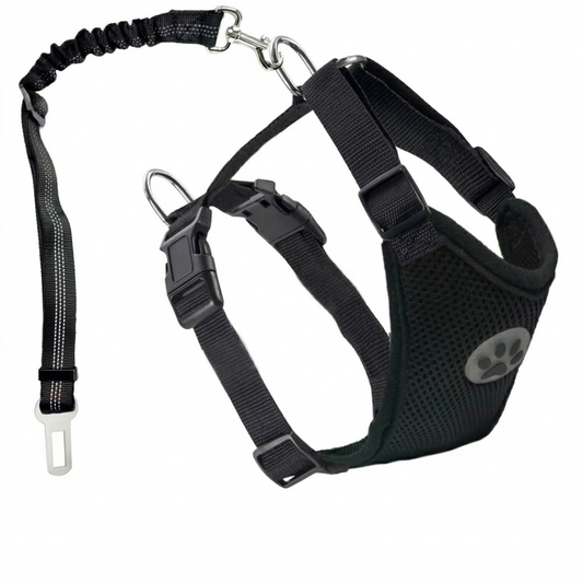 SafeTails Car CrashGuard