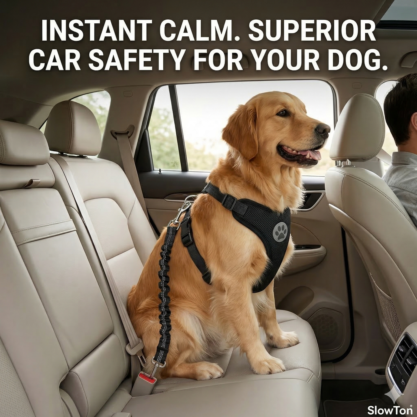 SafeTails Car CrashGuard