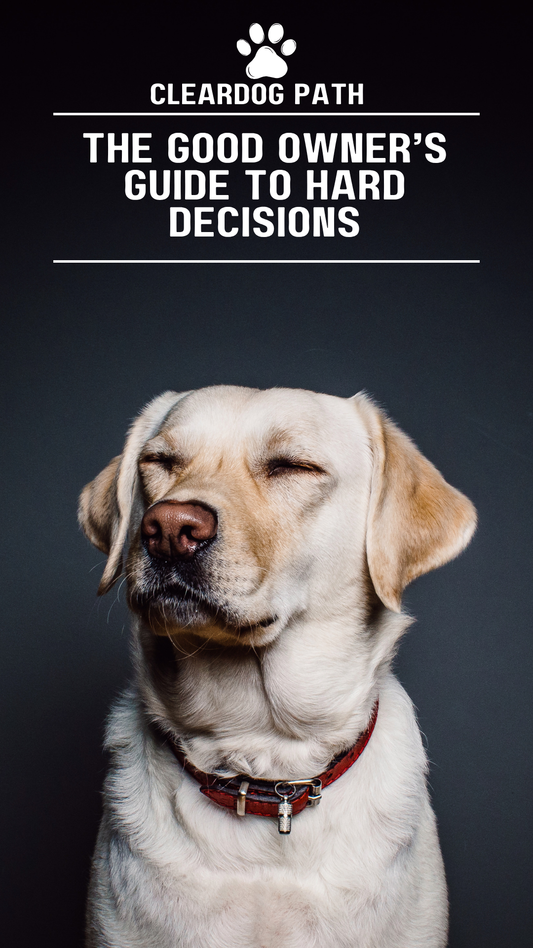 The Good Owner's Guide to Hard Decisions