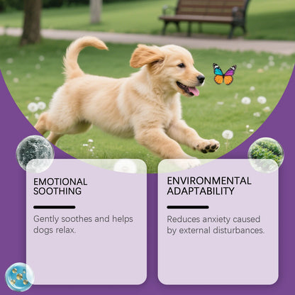 SafeTails™ Anxiety Relief Spray