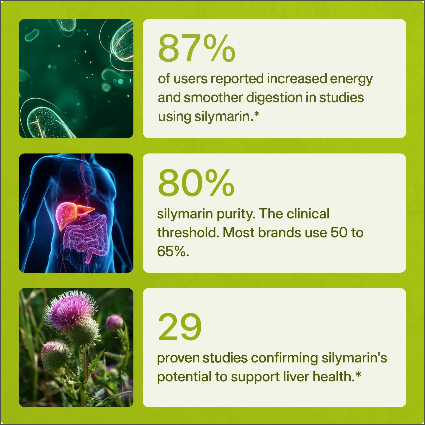 Sharpenn - Milk Thistle Support