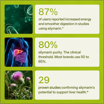 Sharpenn - Milk Thistle Support