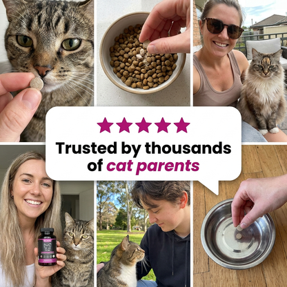 Felinea Joint Health Complex®